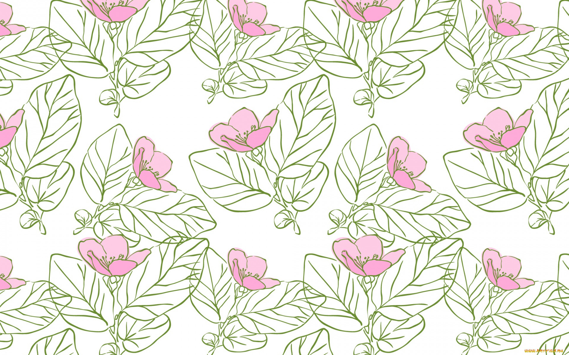  ,  , flowers, , 